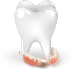 teeth__item